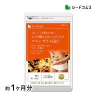 コエンザイムQ10 α-リポ酸 L-カルニチン＋葉酸≪約1ヶ月分≫ 4種類配合ダイエットサポートサプリ！ ネコ…