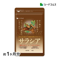 サラシア ダイエットサプリ　約1ヶ月分 ショップオブザイヤー受賞店舗 総合賞8位 　送料無料 健康 サプリ…