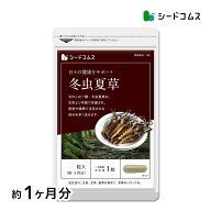 冬虫夏草【約1ヶ月分】ネコポス送料無料 代引・日時指定不可 サプリ 冬虫夏草サプリ