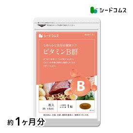 ビタミンB群《約1ヶ月分》■ネコポス送料無料■代引・日時指定不可チアミン硝酸塩/リボフラビン/ナイアシン/ニコチン酸アミド/ピリドキシン塩酸塩/【TB1-B2】【TB1-C4】【diet_D1805】【seedcoms_DEAL2】/D0818