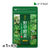 野草酵素《約1ヶ月分》ネコポス送料無料 酵素サプリ/サプリ/酵素ダイエット/サプリ/酵素サプリメント/ダ…