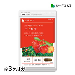 アセロラたっぷりビタミンC★〓≪約3ヶ月分≫■ネコポス送料 サプリ サプリメント 健康 美容 ダイエット ビタミンc ポリフェノール 3C 1169【Tie-up】【seedcoms_DEAL3】【seedcoms_DEAL3】【seedcoms_DEAL