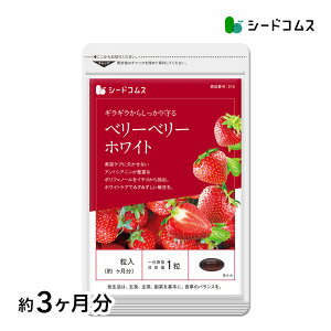 x[x[zCg 3@iCAV Tv AXRr_ VX` ^ԂȂ̃|tFm[zA^ȔePATvł  Tvg N 