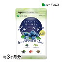 ブルーベリーサプリ 約3ヶ月分 送料無料 サプリ サプリメント 健康 ブルーベリー ビルベリー メグスリノキ カシス ク…