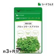 ブロッコリースプラウト約3ヶ月分　 スカルプ 健康 スルフォラファン cc ファイトケミカル ビタミン 食物…