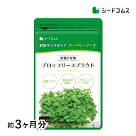 ブロッコリースプラウト約3ヶ月分　 スカルプ 健康 スルフォラファン cc ファイトケミカル ビタミン 食物…