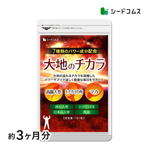ñ`Jy3z }J lQȂǃp[nf7z@@ j clQ }J n NG_ r^~B1 r^~B6 Tvyseedcoms_Dz3D ys20zymoba50offzyYzyseedcoms_DE