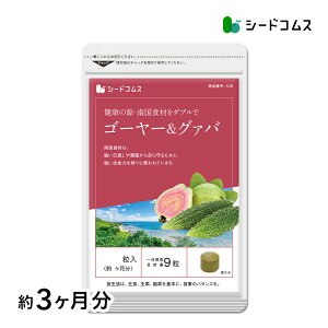 ★ゴーヤー&グァバ《約3ヶ月分》 送料無料 サプリ サプリメント 健康 ダイエット 美容 ビタミンc ポリフェノール モモルデシチン チャランチン ゴーヤー グァバ 【DEAL3204】【seedcoms_DEAL3】【