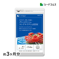 グルコサミン+コンドロイチン+MSM 約3ヶ月分 サプリメント 健康 アクティブ MSM メチルサルフォニルメタ…
