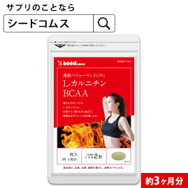 L-カルニチン　BCAA 約3ヶ月分 サプリ サプリメント ダイエット カルニチン アミノ酸 燃焼系 減量 シトルリン グルタミン酸 ロイシン バリン イソロイシン ヒスチジン bcaa 【seedcoms_D】3D【seedcoms_DEAL4】/D0818