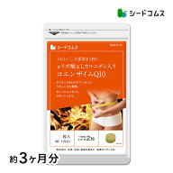 コエンザイムQ10 α-リポ酸 L-カルニチン 葉酸 約3ヶ月分 サプリ サプリメント ダイエット 美容 サポート…