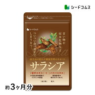 サラシア 約3ヶ月分 送料無料 サプリ サプリメント ダイエットサプリ 美容 菊芋 バナバ サラシノール コ…
