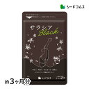 サラシアブラック 約3ヶ月分 炭 チャコール配合 サプリ サプリメント ダイエット