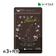 サラシアブラック 約3ヶ月分 炭 チャコール配合 サプリ サプリメント ダイエット