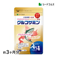 鮭由来コンドロイチン配合 グルコサミン MSM 2型コラーゲン 約3ヶ月分 サプリ サプリメント 健康 デジタ…