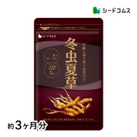 冬虫夏草 ≪約3ヶ月分≫【送料無料】ネコポス送料無料 代引・日時指定不可 サプリ/冬虫夏草サプリ
