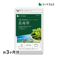長命草（フコイダン・クロレラ入）ソフトカプセルタイプ《約3ヶ月分》■ネコポス送料無料■代引・日時指…
