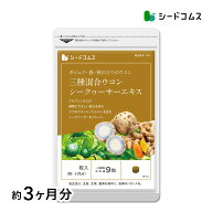 3種混合ウコン+シークヮサーエキス 約3ヶ月分 サプリ サプリメント 健康 健康食品 美容 ガジュツ ウコン …