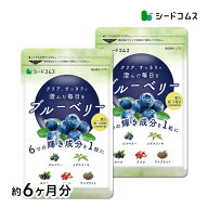 ブルーベリー 約6ヶ月分 送料無料 サプリ サプリメント 健康 ブルーベリー ビルベリー メグスリノキ カシ…