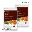 カテキン入り柿渋カプセル 約6ヶ月分 【seedcoms_D】6D【D0824】【DEAL3204 送料無料 サプリ サプリメント ダイエット…