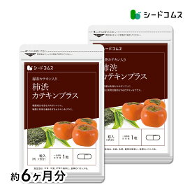カテキン入り柿渋カプセル 約6ヶ月分 送料無料 サプリ サプリメント ダイエット 健康 柿 カテキン カキタンニン 殺菌 柿渋 エチケット ポリフェノール