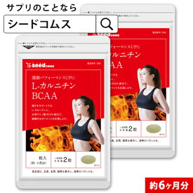 L-カルニチン　BCAA 約6ヶ月分 サプリ サプリメント ダイエット カルニチン アミノ酸 燃焼系 減量 シトルリンロイシン バリン イソロイシン ヒスチジン bcaa 【seedcoms_D】6D【winter_sp_d】【dealreiwa12】【diet0621】【seedcoms_DEAL4】/D0818