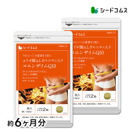 コエンザイムQ10 α-リポ酸 L-カルニチン 葉酸 約6ヶ月分 サプリ サプリメント ダイエット 美容 カルニチ…