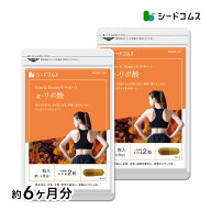 α-リポ酸 約6ヶ月分 送料無料 サプリ サプリメント ダイエット 美容 カルニチン コエンザイム q10 リポ…