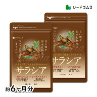サラシア　約6ヶ月分 サプリ サプリメント ダイエット 美容 健康 サラシア末 菊芋エキス末 サラシア 菊芋…