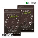 サラシアブラック 約6ヶ月分 炭 チャコール配合 サプリ サプリメント ダイエット