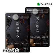 炭の恵み【約6ヶ月分】 炭 サプリ サプリメント 送料無料 乳酸菌 炭サプリ オリゴ糖 りんご線維 食物繊維…