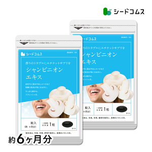 VsjIGLXs6t  Tv Tvg G`Pbg fPA VsjIyseedcoms_DEAL2z/D0818