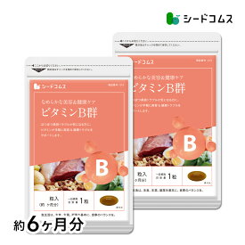 ビタミンB群 約6ヶ月分 送料無料 サプリ サプリメント 美容 健康 ビタミン ビタミンC ビタミンB ビタミンA ビタミンE 【dealreiwa12】【woman0621】【search】【seedcoms_DEAL3】【seedcoms_DEAL3】/D0818