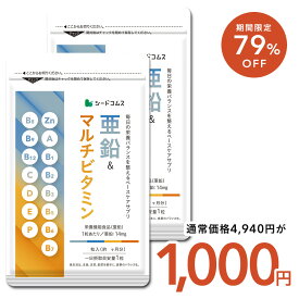 ＼1ヶ月あたり約167円／【6/4 20時開始★タイムセールで1000円】亜鉛＆マルチビタミン《約6ヶ月分》【栄養機能食品】亜鉛 マルチビタミン