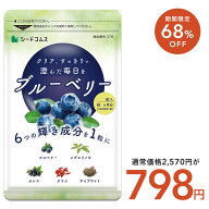＼1ヶ月あたり約266円／【8/4 20時開始★クーポンで798円】ブルーベリーサプリ 約3ヶ月分 送料無料 サプ…
