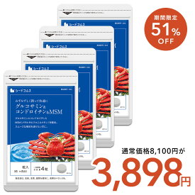 【2/11開始★タイムセールで3,898円】グルコサミン+コンドロイチン+MSM 約12ヶ月分