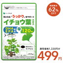 【10/4 20:00開始★タイムセールで499円】イチョウ葉エキス（約1ヶ月分）ネコポス送料無料　サプリ　イチョウ葉　サプ…