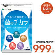 ＼1ヶ月あたり約333円／【6/4 20時開始★タイムセールで999円】菌のチカラ 約3ヶ月分 サプリメント 乳酸…