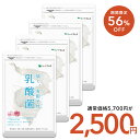 【1/23開始★タイムセールで2,500円】有胞子性乳酸菌ソフトカプセル約12ヶ月分ネコポス送料無料代引/日時指定不可サプ…