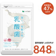 【9/19開始★タイムセールで848円】乳酸菌ソフトカプセル 約3ヶ月分【cp】サプリ/乳酸菌サプリ 酵素配合 …