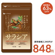 【10/10 23:59終了★タイムセールで848円】サラシア 約3ヶ月分 送料無料 サプリ サプリメント ダイエット…