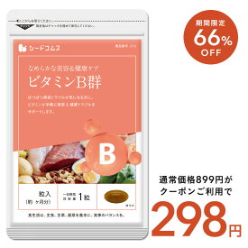 【8/12開始★タイムセールで298円】ビタミンB群《約1ヶ月分》 ネコポス送料無料 代引・日時指定不可 チアミン硝酸塩/リボフラビン/ナイアシン/ニコチン酸アミド/ピリドキシン塩酸塩