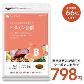 【8/12開始★タイムセールで798円】ビタミンB群 約3ヶ月分 送料無料 サプリ サプリメント 美容 健康 ビタミン ビタミンC ビタミンB ビタミンA ビタミンE