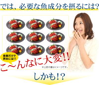 DHA+EPAオメガ3系α-リノレン酸約12ヵ月分【seedcoms_D】12D