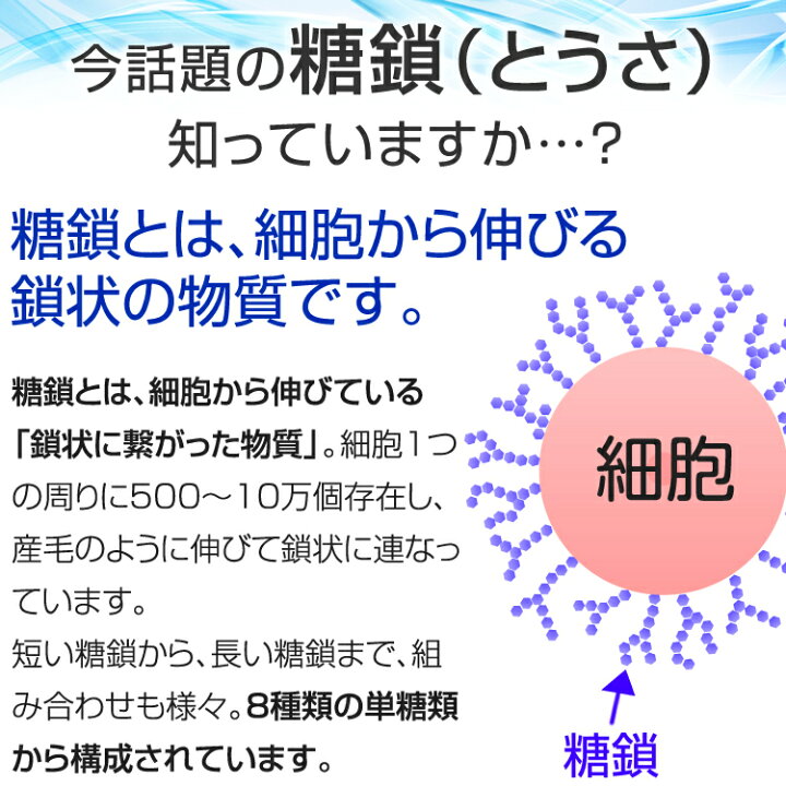 楽天市場】[シーズ糖鎖]Seeds糖鎖免研CAM糖鎖栄養素販売元1箱【2g 