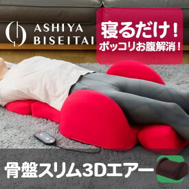 芦屋美整体 骨盤スリム3Dエアー ダークブラウン 骨盤補正 骨盤ケア おしゃれ 座椅子 クッション シート 女性特有 【代引不可】
