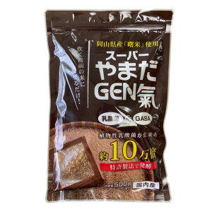 茺 j[ETCGX X[p[܂GEN 500g yʃXv[t Y  y A_ GABA Nu
