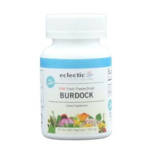 GNNeBbN o[hbN 90JvZ/ n[uTvg Ki Eclectic Institute Inc. Burdock S{E  ڂ y n[u Tvg
