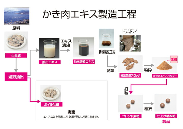 楽天市場】オイスターバランス OysterBalance 400粒 純国産真牡蠣濃縮 