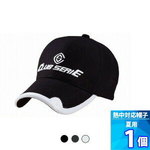 1 yTEIJINzeCW QbgR[Y StXq MΉ MǑ΍ObY  M ΍